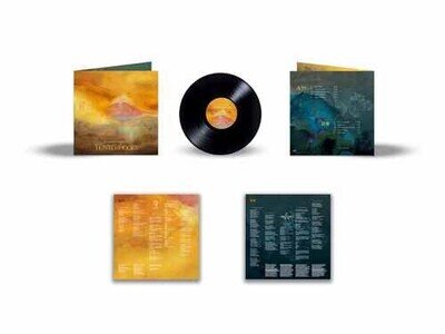 Silversun Pickups : Tenterhooks VINYL 12" Album (2026) ***NEW*** Amazing Value