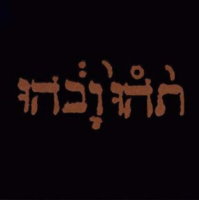Godspeed You! Black Emperor : Slow Riot for New Zero Kanada VINYL 12" Album
