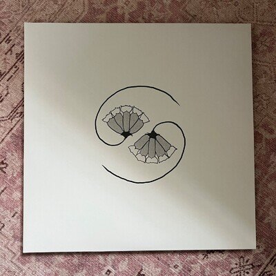 GODSPEED YOU! BLACK EMPEROR - G_D'S PEE AT STATE'S END - VINYL ALBUM & 10"