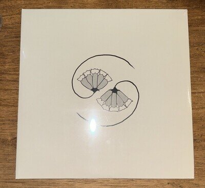 Godspeed You! Black Emperor G_d'S Pee at State'S End! Vinyl
