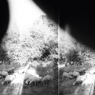 Godspeed You! Black Emperor - Asunder, Sweet and Other... Vinyl 12" Album Record