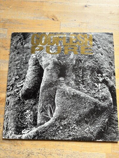Godflesh / Pure 1992 UK Original LP Vinyl Earache Records MOSH32 Experimental