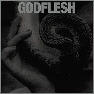 GODFLESH - PURGE - Vinyl Record - J72z