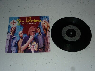 GIN BLOSSOMS HEY JEALOUSY 4-TRACK EP 7" INCH SINGLE VINYL RECORD 33rpm NEAR MINT