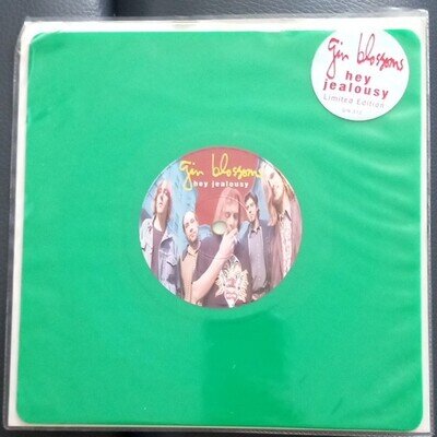 Gin Blossoms Hey Jealousy 7" Vinyl Single 45 RPM A&M 1992 GIN312 580357-1