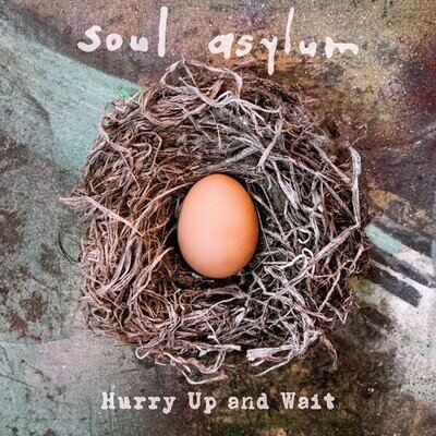 SOUL ASYLUM - Hurry Up And Wait 2020 US Vinyl 2 LP Set New