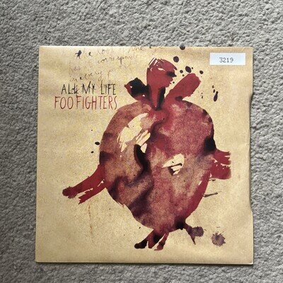 Foo Fighters - All My Life 7” Numbered Vinyl Record Single