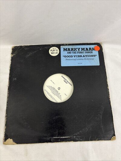 Enrique Iglesias Hero 2001 12” Vinyl Record Promo Demo Alternative Sleeve