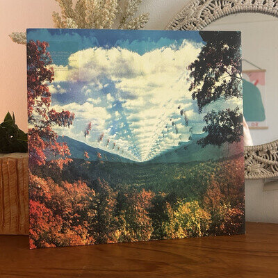Tame Impala Innerspeaker 10 Year Anniversary Deluxe 2020 12" 4LP Vinyl Set