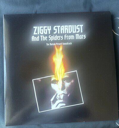 Ziggy Stardust and the Spiders From Mars: The Motion Picture
