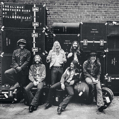 The Allman Brothers Band : At Fillmore East VINYL 12" Album 2 discs (2016)