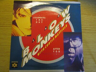 Blow Monkeys with Curtis Mayfield (Celebrate) The Day After You 7" Vinyl Record