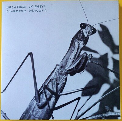 Courtney Barnett - Creature Of Habit (LP) (Mint (M)) - Mint (M)