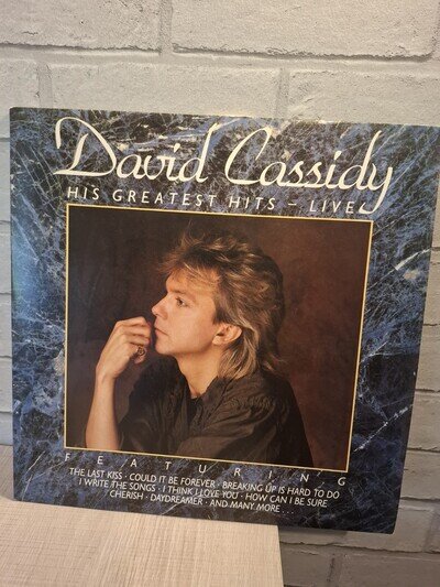 David Cassidy - His Greatest Hits - Live LP Vinyl