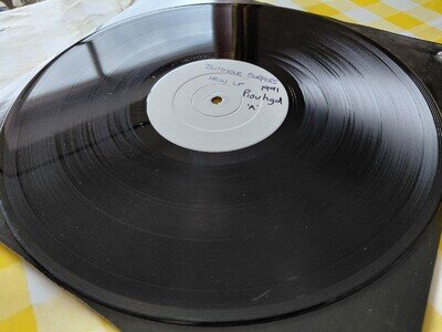 Butthole Surfers " Piouhgd " Promo Vinyl 1991