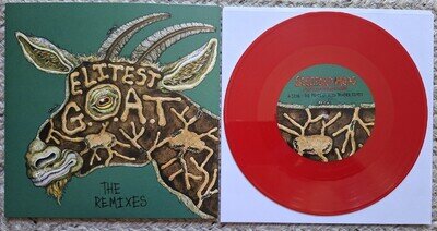 Sleaford Mods and Aldous Harding “Elitest G.O.A.T.” New Red Vinyl The Prodigy