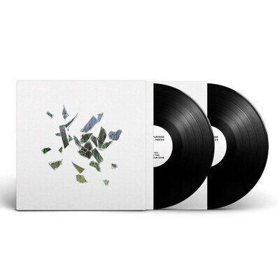 These New Puritans - Field of Reeds (BMG) 2LP Vinyl 12" Album