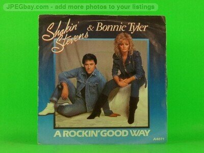 STEVENS,SHAKIN' & BONNIE TYLER ROCKIN' GOOD WAY (PICTURE SLEEVE) (1) (137) 7" EP