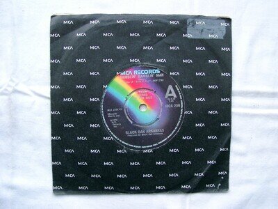 BLACK OAK ARKANSAS - Ramblin' Gamblin' Man 7" - MCS 256 - 1976 UK DEMO COPY