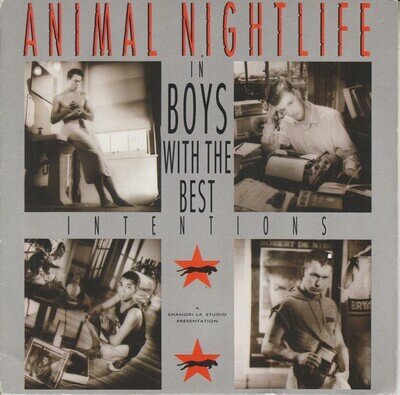 Animal Nightlife - Boys With The Best Intentions - Used Vinyl Record - J5829z