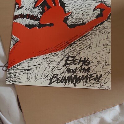Echo & the Bunnymen The Pictures on My Wall Zoo 7" Vinyl Single CAGE 004