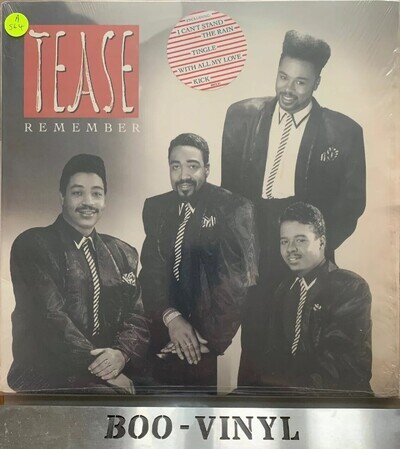 TEASE ---- REMEMBER ---- RARE INDIE R&B SOUL US PRESS LP RECORD EX+