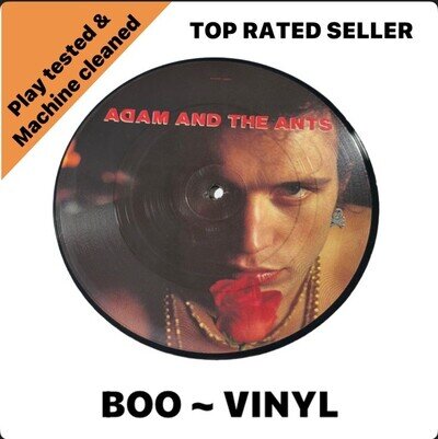 Adam and The Ants ~ Goody Two Shoes 7'' Picture Disc Vinyl Record NM / M