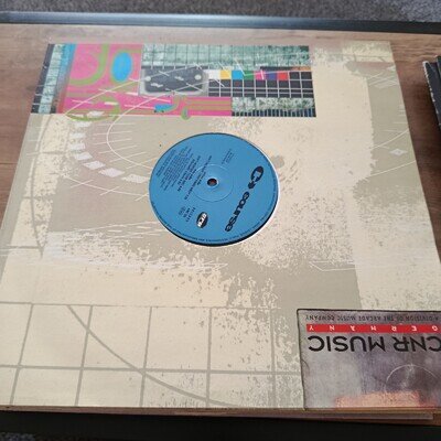 The Course Ain't Nobody SRO 12" Organ House