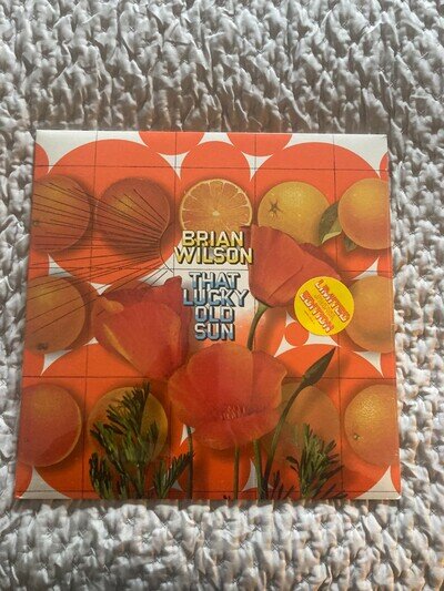 Brian Wilson 'That Lucky Old Sun' on 509992 34142 11 from 1977. V & S MINT.