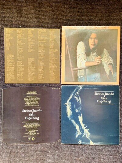 DAN FOGELBERG Vinyl LP - 2 ESSENTIAL ALBUMS - SOUVENIRS + NETHER LANDS
