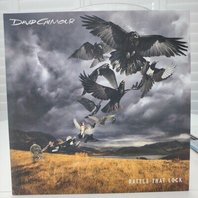 David Gilmour “RATTLE THAT LOCK” 88875123291 Europe 2015 Vinyl LP NM EX +