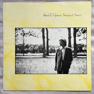 DAVID SYLVIAN / Brilliant Trees 12” LP 1984 Virgin Records vg/vg+