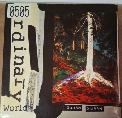 Duran Duran 7inch Vinyl Record 1 Ordinary World 2 My Antarctica Label On Sleeve