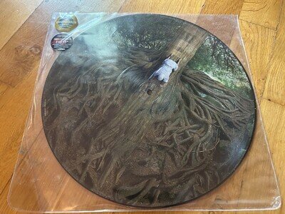 The Mars Volta The Widow 12" Vinyl Picture Disc Single Limited Edition