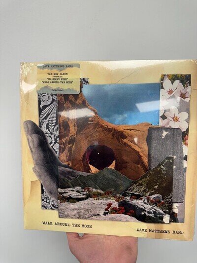Dave Matthews Band : Walk Around The Moon (Vinyl) New Bend to Cover