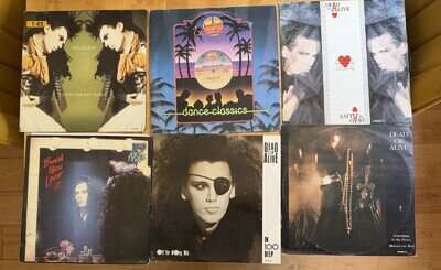 Dead Or Alive Job Lot 6 X 12” Singles Inc Rare Remixes