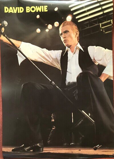 Vintage Original 1978 David Bowie Concert Stage Poster 96x67cm sent by TH Tube