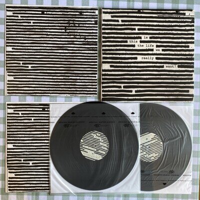 ROGER WATERS - IS THIS THE LIFE WE REALLY WANT? - 1ST PRESS VINYL LP Superb EX+