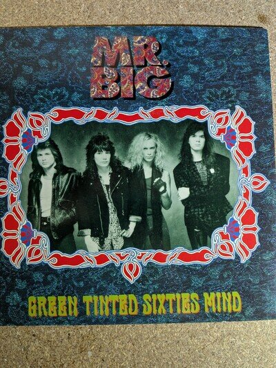 Mr Big - Green Tinted Sixties Mind - 7" Vinyl (1991 - A7702)