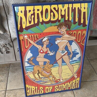 Aerosmith Girls Of Summer 2002 Tour Poster Framed Original