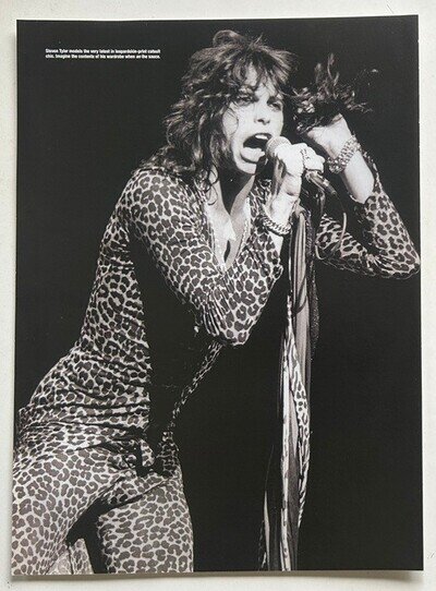 STEVEN TYLER - Full page UK magazine poster AEROSMITH