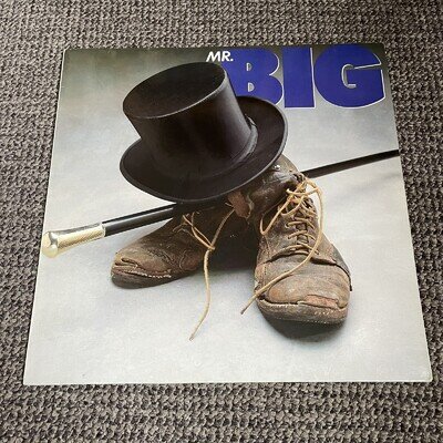 Mr. Big - Self Titled Debut Album Vinyl Record FIRST EU Pressing BLACK 1989