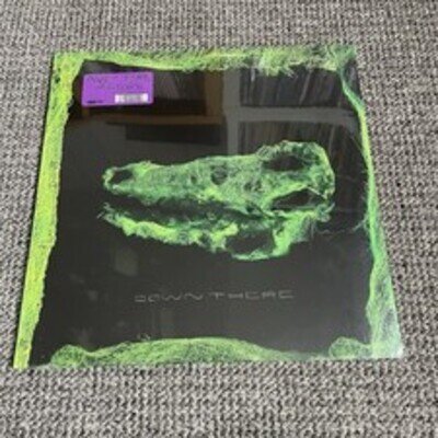 Avey Tare - Down There Vinyl Record SEALED Black 2021 Animal Collective