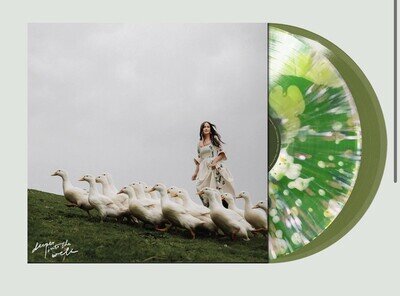 Kacey Musgraves – Deeper Into The Well Vinyl Record NEW Liquid Filled, Bad World