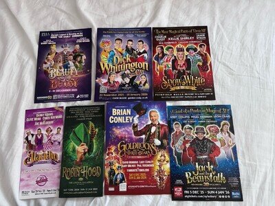 Panto Flyers