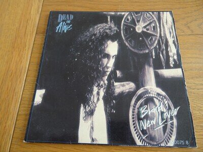 Dead Or Alive – Brand New Lover 7" single. Gatefold sleeve. EX