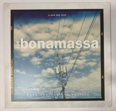 Joe Bonamassa - A New Day Now [20th Anniversary Edition, Vinyl 2LP, Near mint]