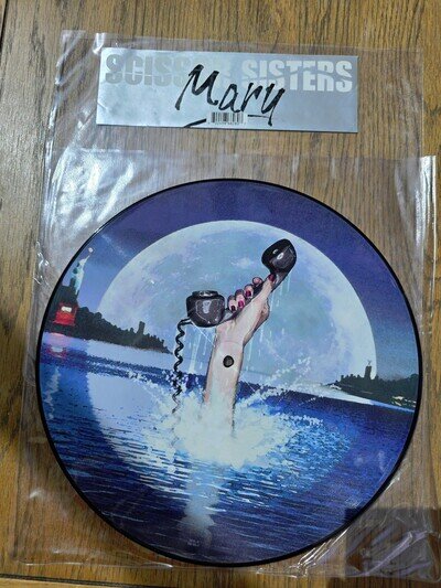 Scissor Sisters Mary Ltd 12” Vinyl Picture Disc Laura Remix Excellent!