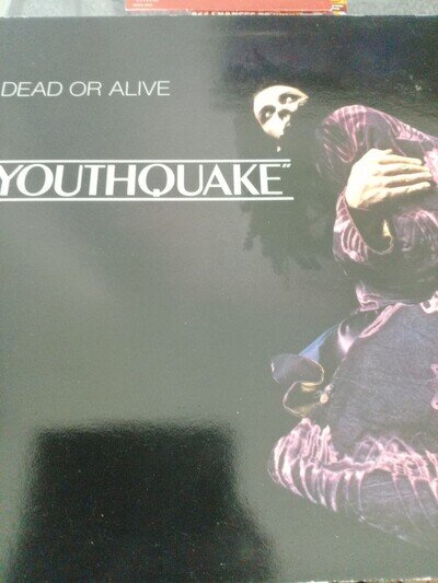 Dead Or Alive – Youthquake Vinyl Record LP
