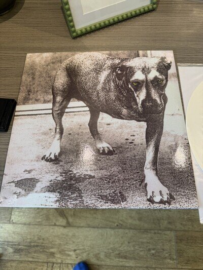 Alice In Chains ''Alice In Chains'' Dog Tripod 2LP, RARE White color vinyl